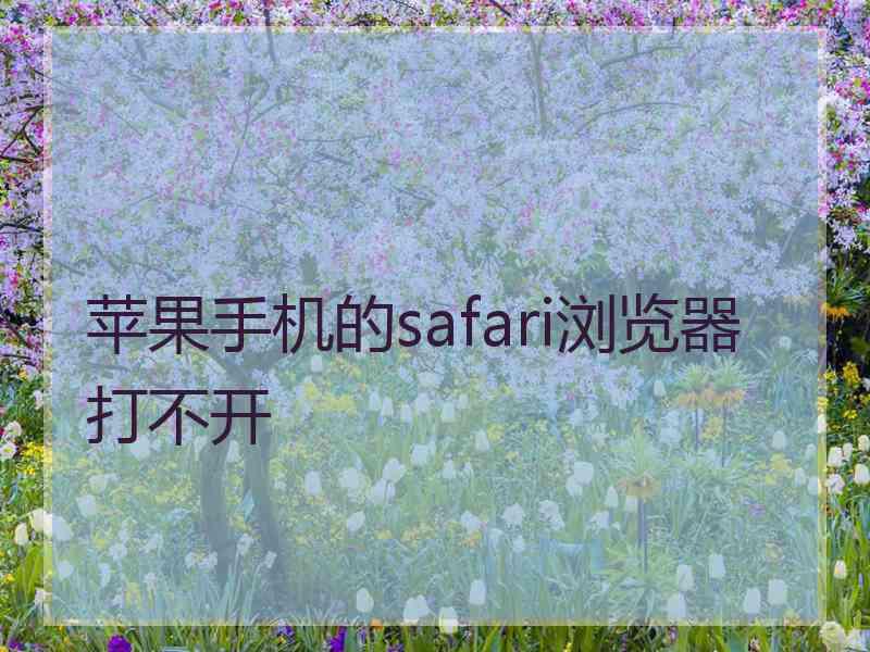 苹果手机的safari浏览器打不开