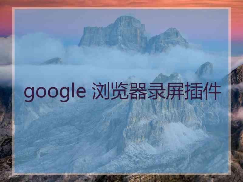 google 浏览器录屏插件