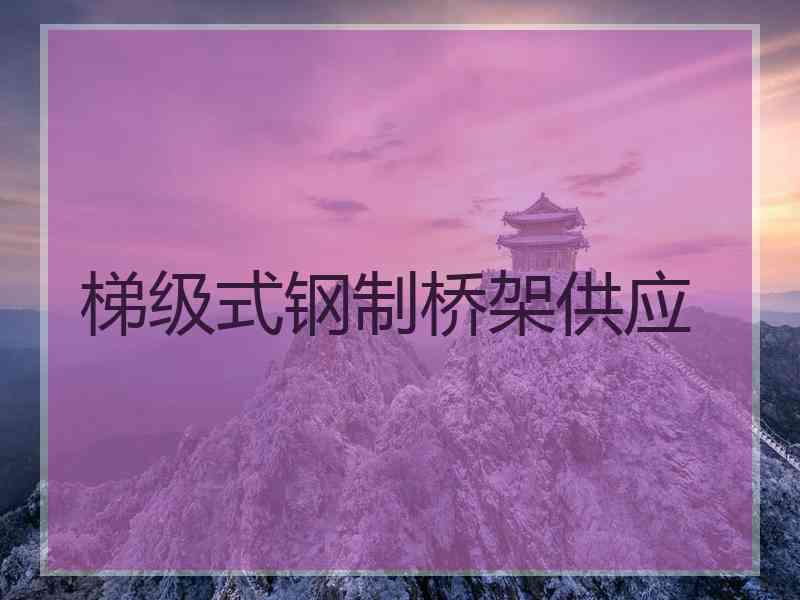 梯级式钢制桥架供应