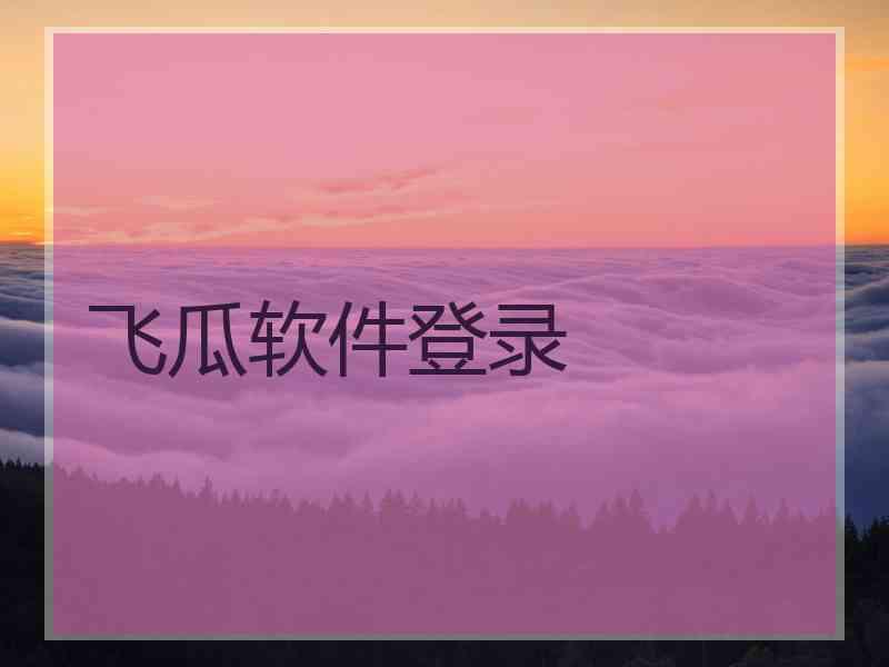 飞瓜软件登录