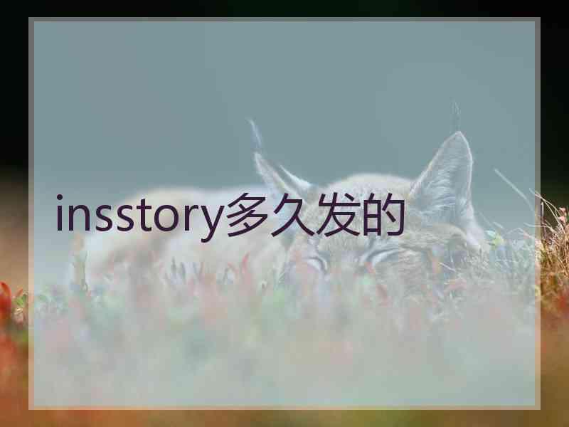 insstory多久发的