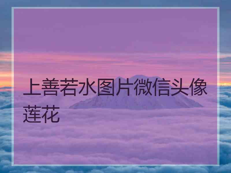 上善若水图片微信头像莲花