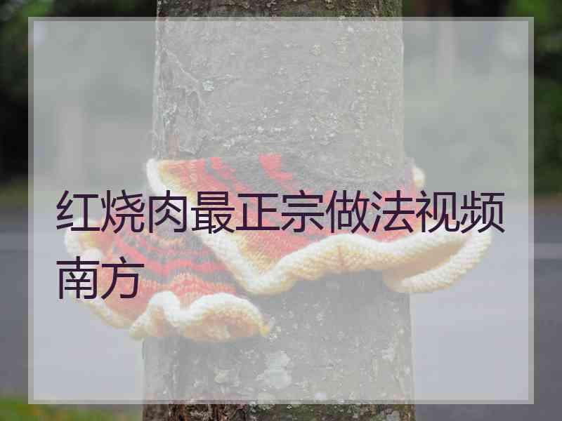 红烧肉最正宗做法视频南方
