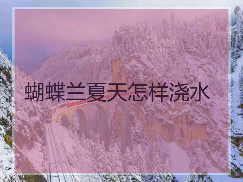 蝴蝶兰夏天怎样浇水