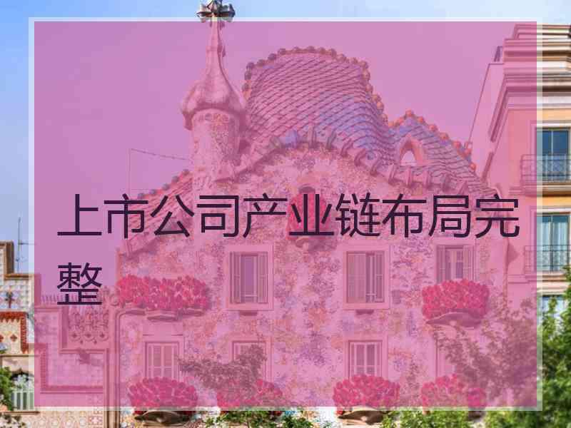 上市公司产业链布局完整