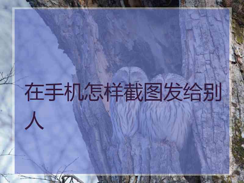 在手机怎样截图发给别人
