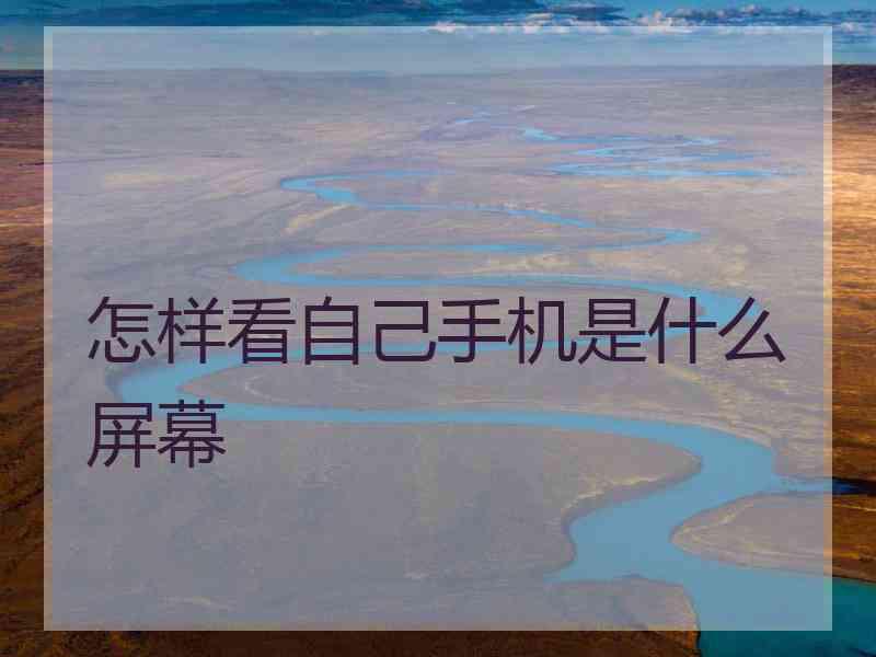 怎样看自己手机是什么屏幕