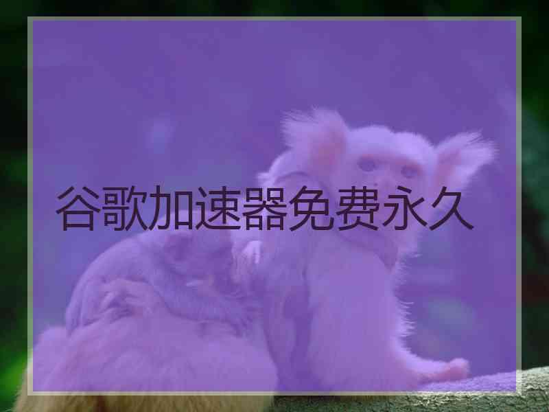 谷歌加速器免费永久