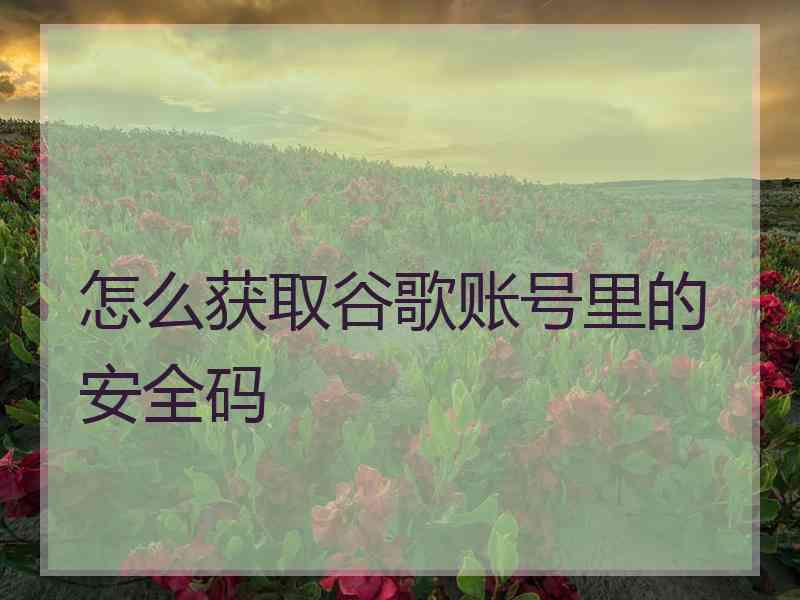 怎么获取谷歌账号里的安全码