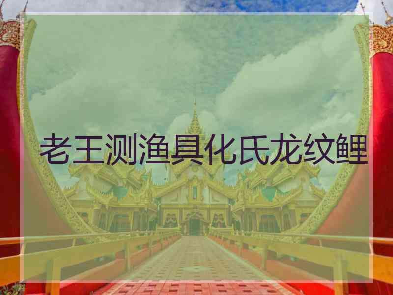 老王测渔具化氏龙纹鲤