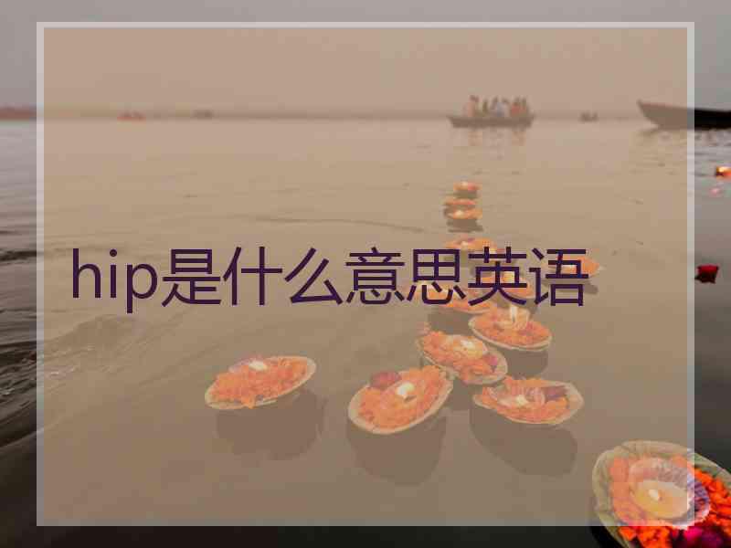 hip是什么意思英语