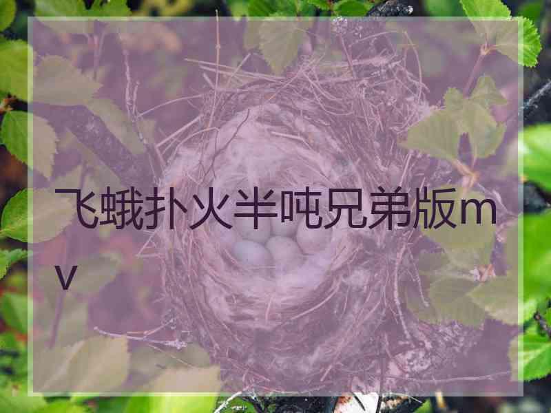 飞蛾扑火半吨兄弟版mv