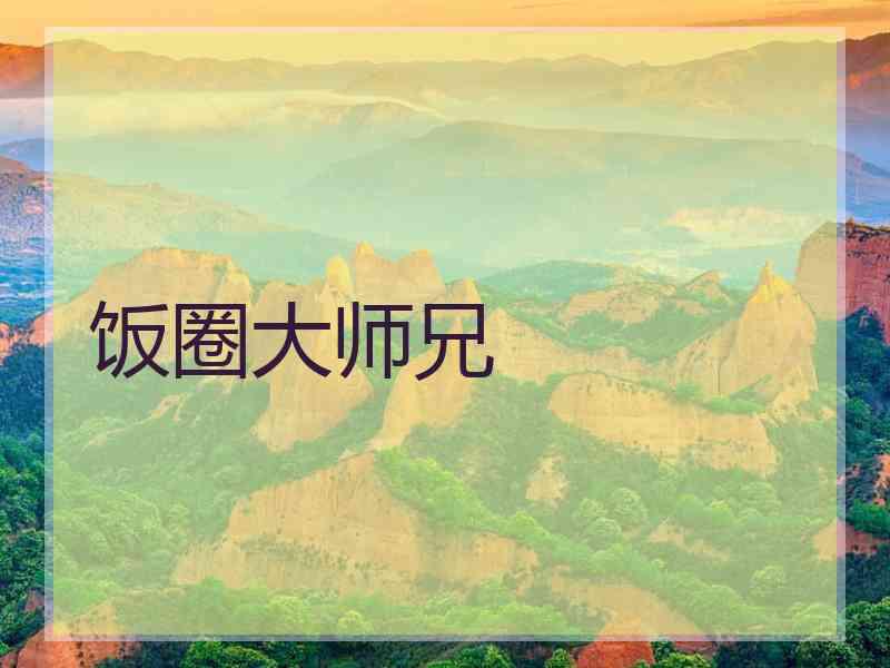 饭圈大师兄