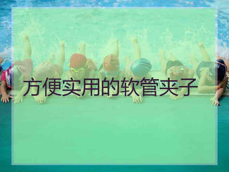 方便实用的软管夹子