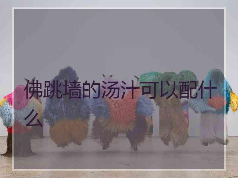 佛跳墙的汤汁可以配什么
