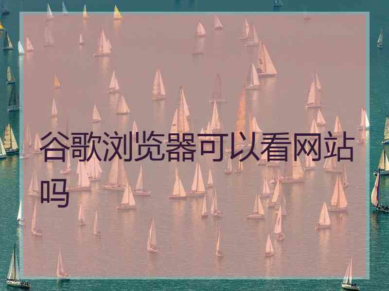 谷歌浏览器可以看网站吗