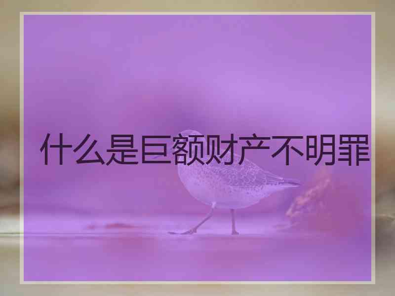 什么是巨额财产不明罪