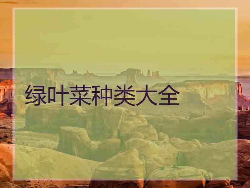 绿叶菜种类大全