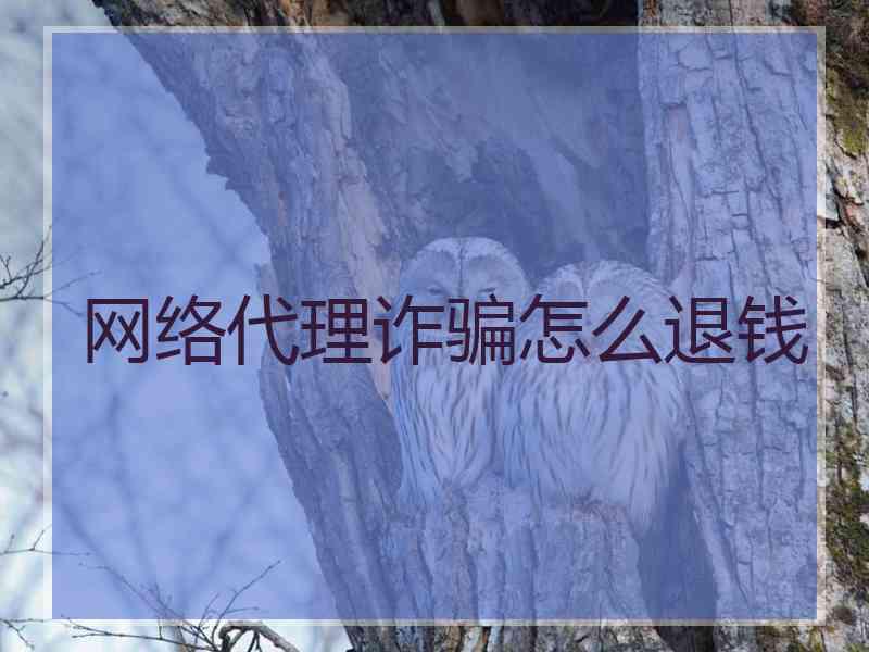 网络代理诈骗怎么退钱