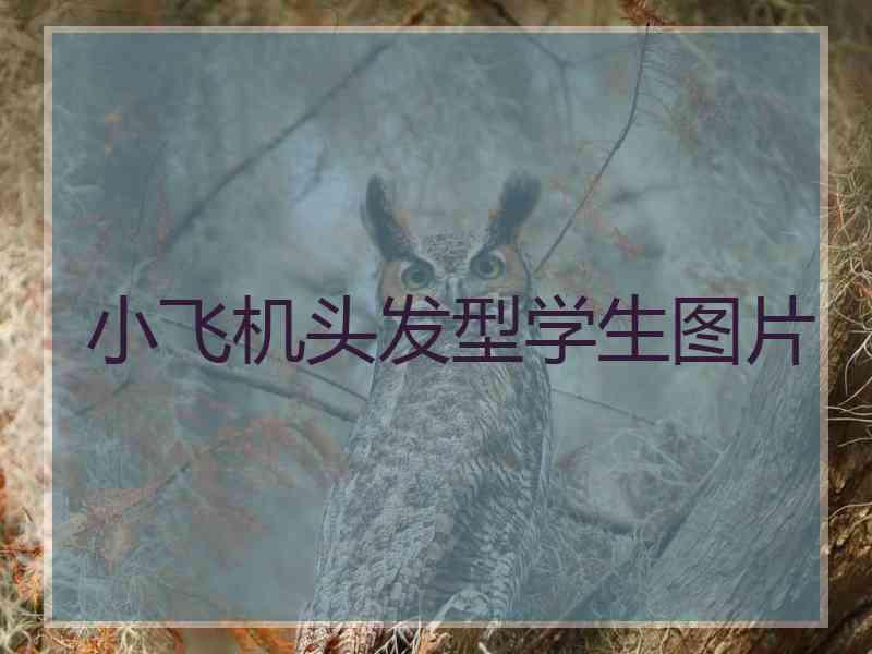 小飞机头发型学生图片