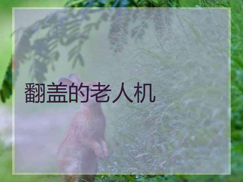 翻盖的老人机
