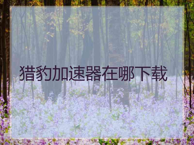 猎豹加速器在哪下载