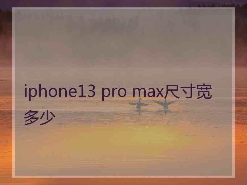 iphone13 pro max尺寸宽多少