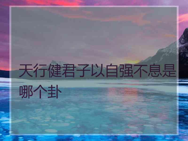 天行健君子以自强不息是哪个卦