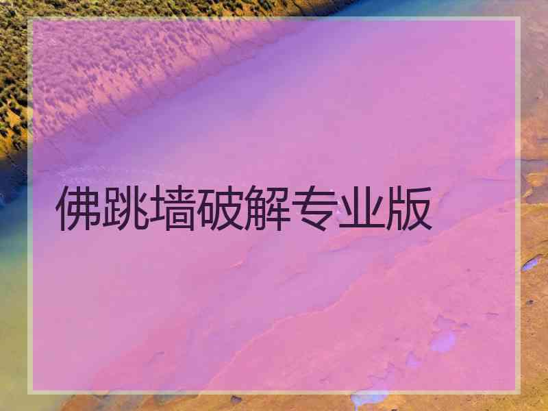 佛跳墙破解专业版