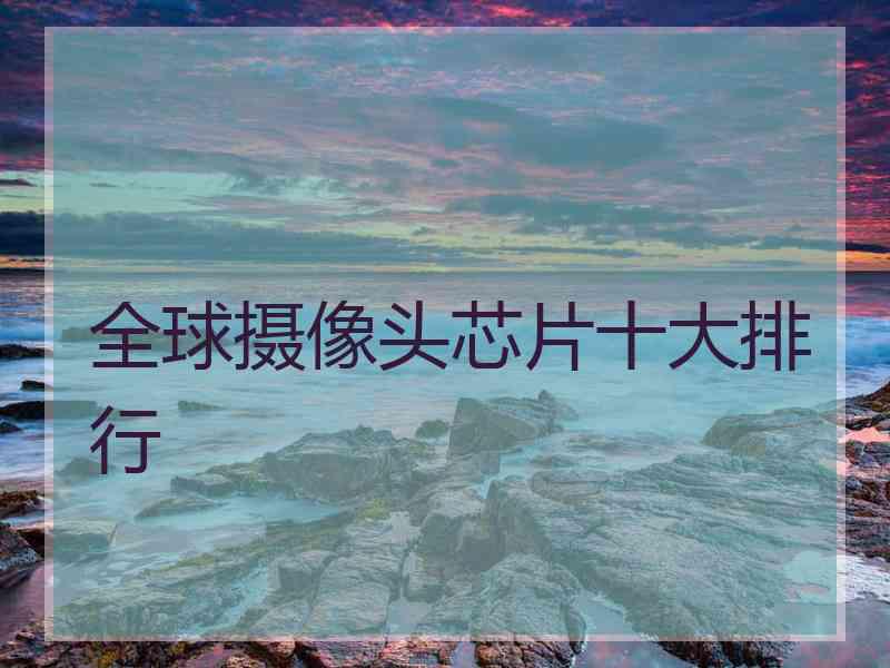 全球摄像头芯片十大排行