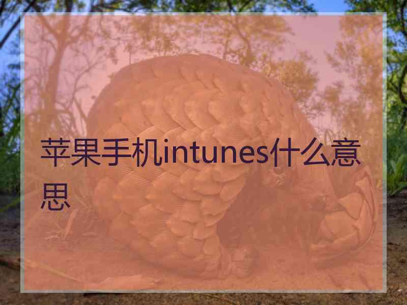 苹果手机intunes什么意思