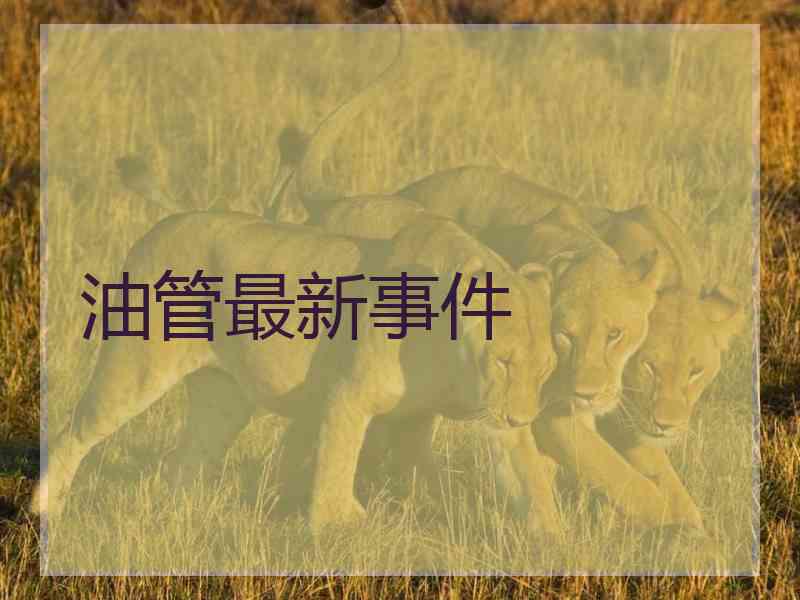 油管最新事件