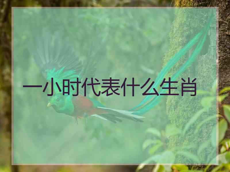 一小时代表什么生肖