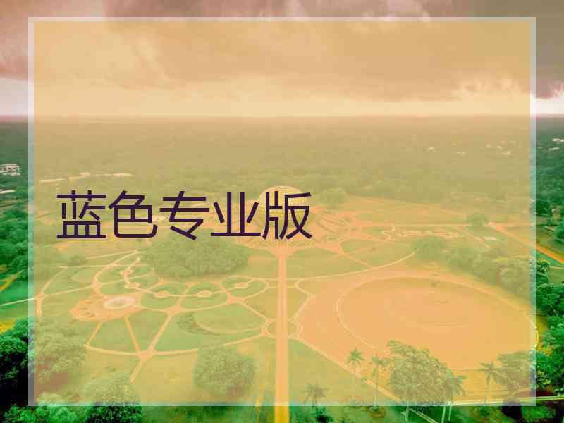 蓝色专业版