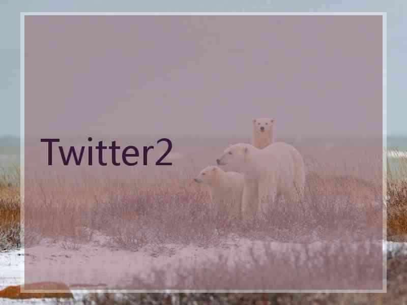 Twitter2