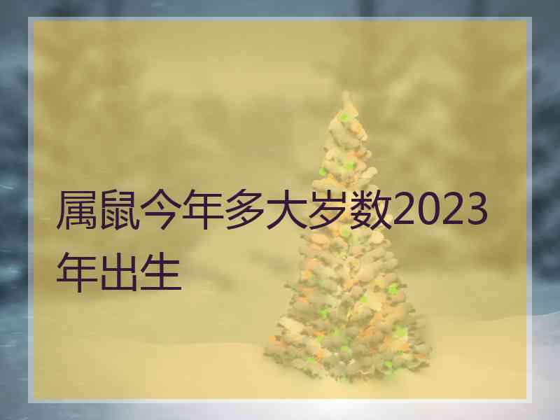 属鼠今年多大岁数2023年出生