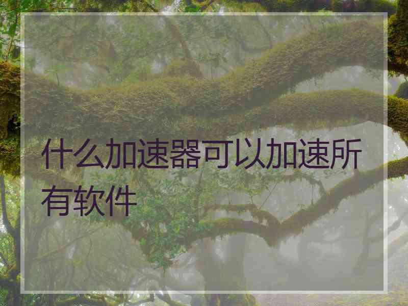 什么加速器可以加速所有软件
