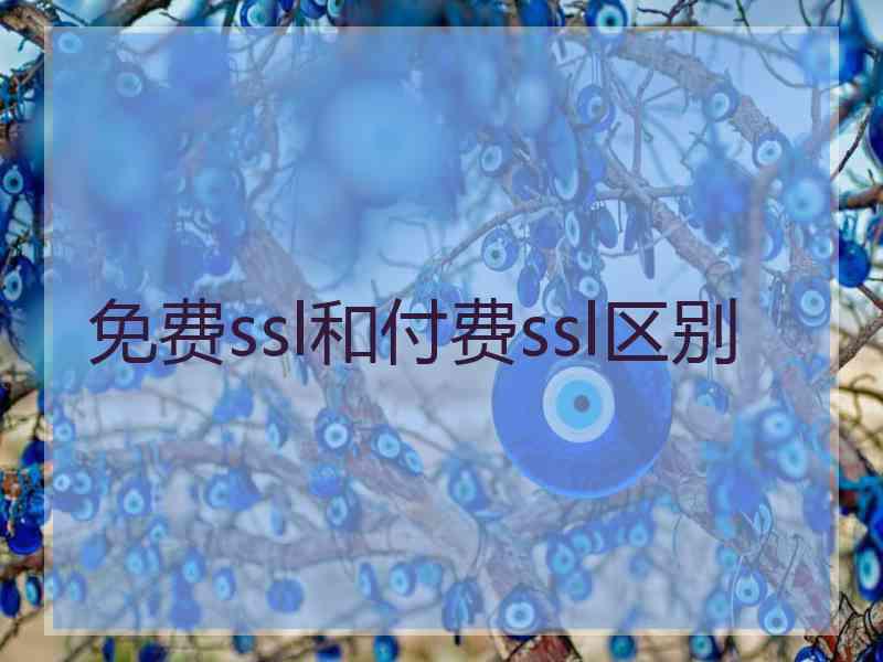 免费ssl和付费ssl区别