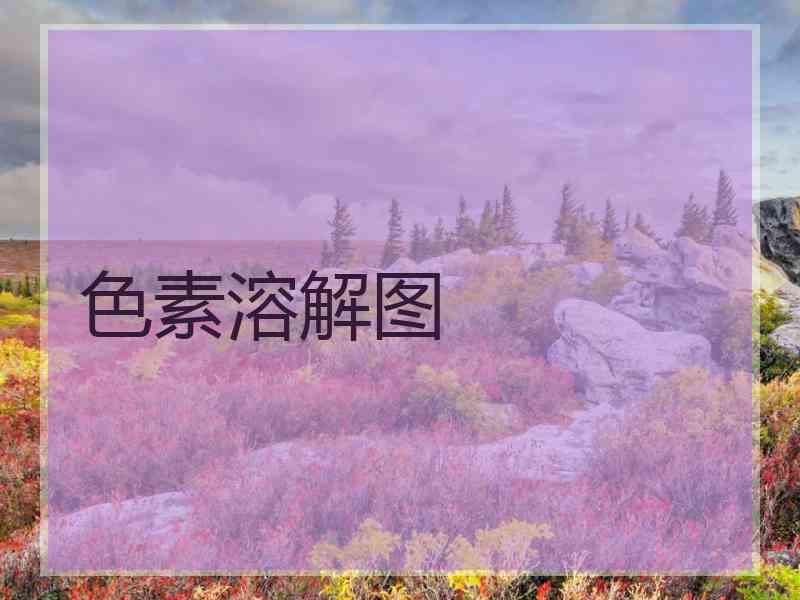色素溶解图