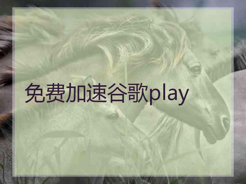 免费加速谷歌play