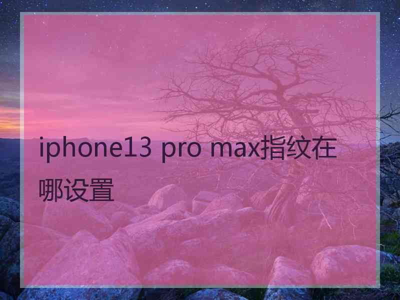 iphone13 pro max指纹在哪设置