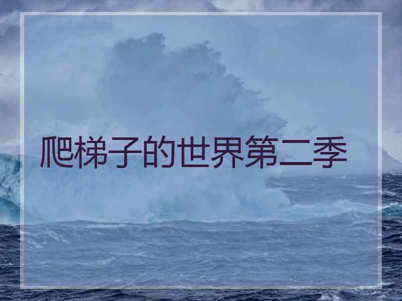 爬梯子的世界第二季