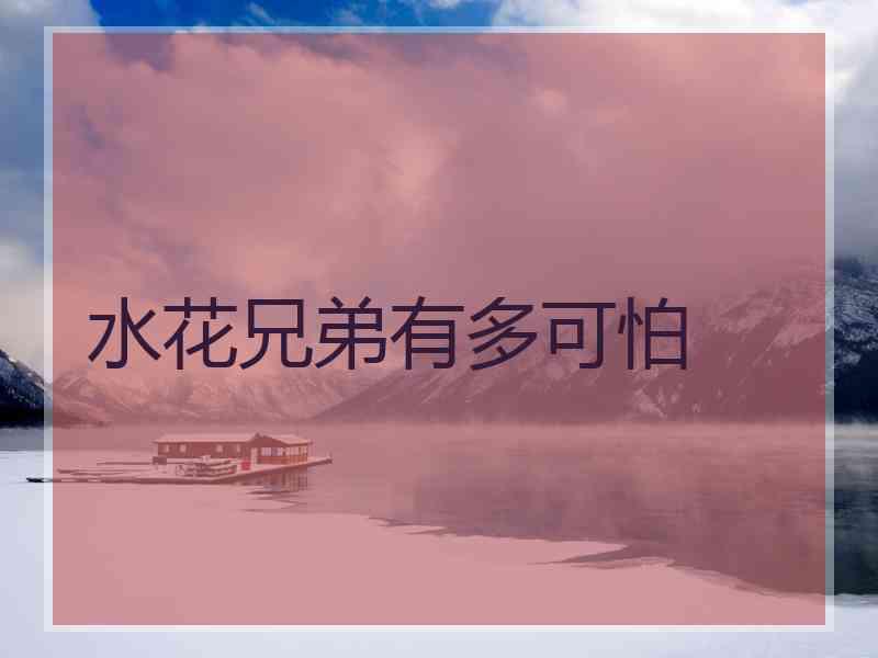 水花兄弟有多可怕