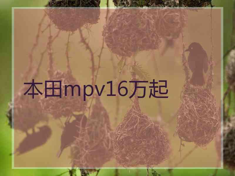 本田mpv16万起