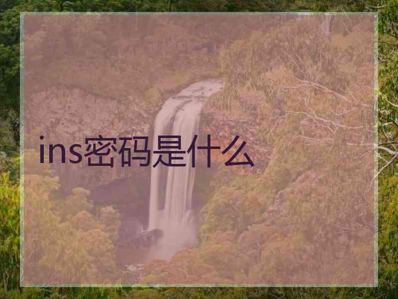 ins密码是什么