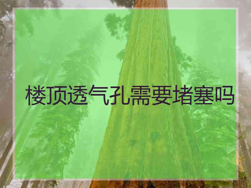 楼顶透气孔需要堵塞吗