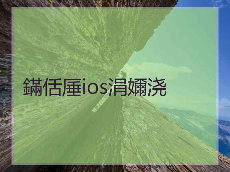 鏋佸厜ios涓嬭浇