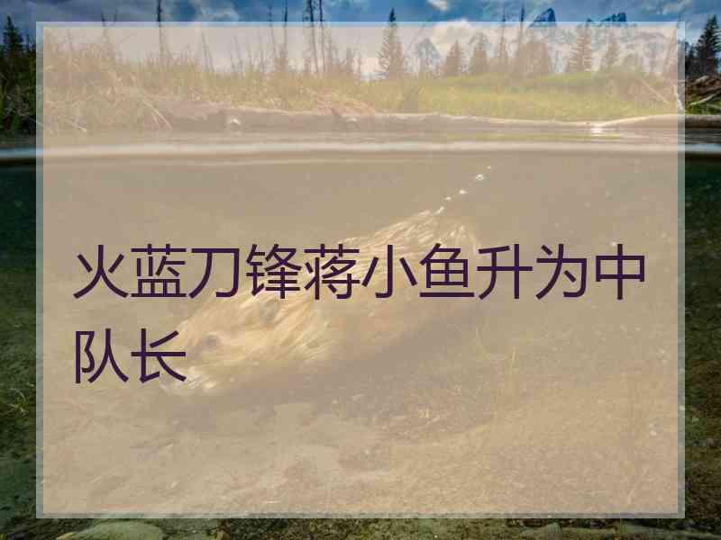 火蓝刀锋蒋小鱼升为中队长