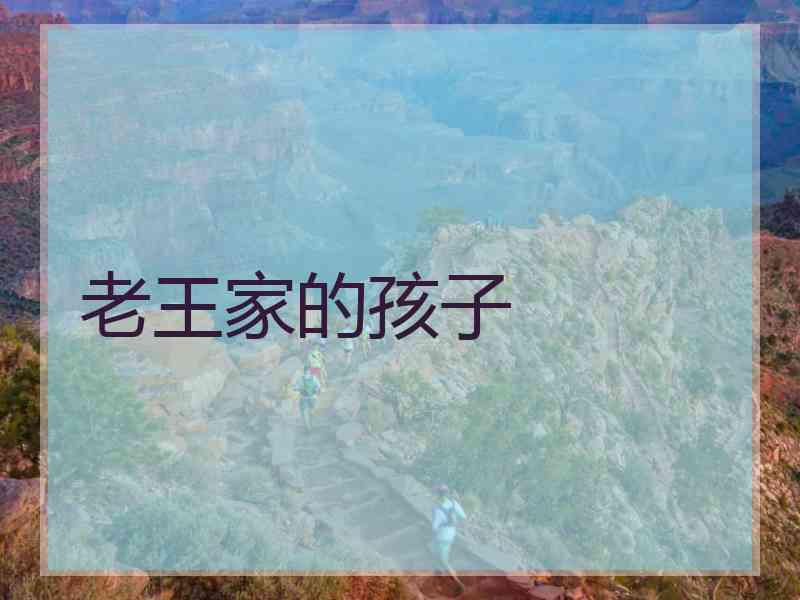 老王家的孩子