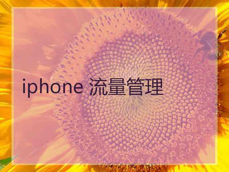 iphone 流量管理